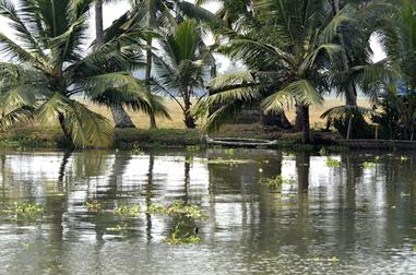 Houseboat-Tour from Alleppey to Kollam_DSC6583_H600